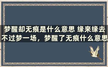 梦醒却无痕是什么意思 缘来缘去不过梦一场，梦醒了无痕什么意思